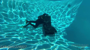 www.aqualungs50.com - Dive Buddies Only Surface Together thumbnail
